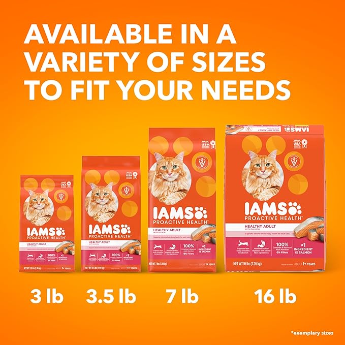 IAMS Proactive Health Adult Healthy Dry Cat Food with Real Salmon, 3.5 lb. Bag