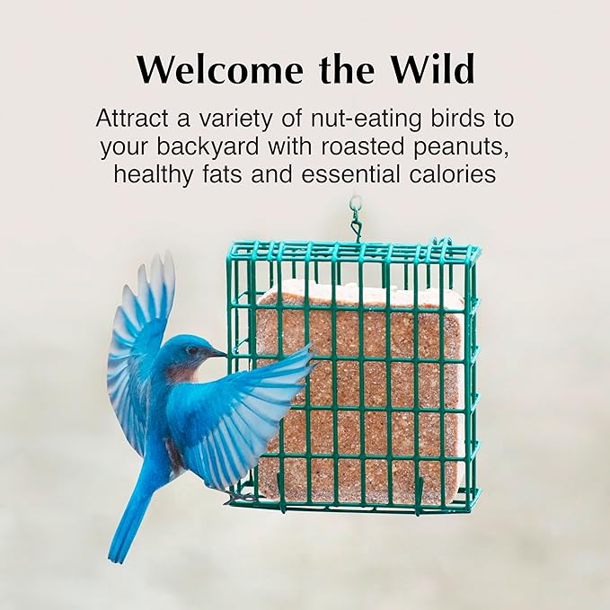 C&S Peanut Butter Delight No Melt Suet Dough, Suet Cakes for Wild Birds, 11.75 Ounces, Pack of 8