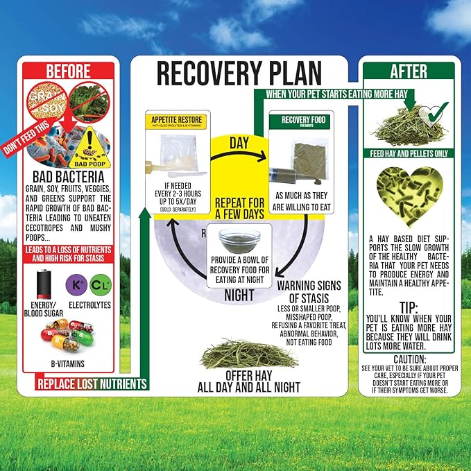 Pet Guinea Pig Emergency Kit with Timothy Recovery Food (Large Emergency Kit)