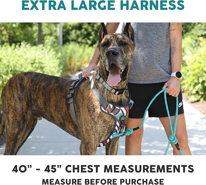 Embark Adventure Dog Harness, Reflective Trim XL for Extra Large Dogs No Pull - Military Grade Nylon, 2 Leash Clips & Gel Lined Handle. Soft & Padded Puppy Dog Harnesses for Any Breed