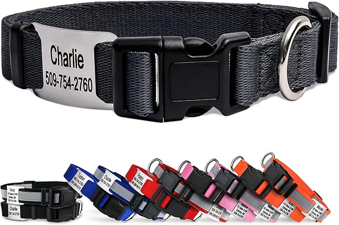 GoTags Personalized Dog Collar with Nameplate, Adjustable Dog Collar with Custom Engraved Slide On Pet ID Tag in Stainless Steel, Silent, No Noise Dog Tag (Charcoal, X-Small)