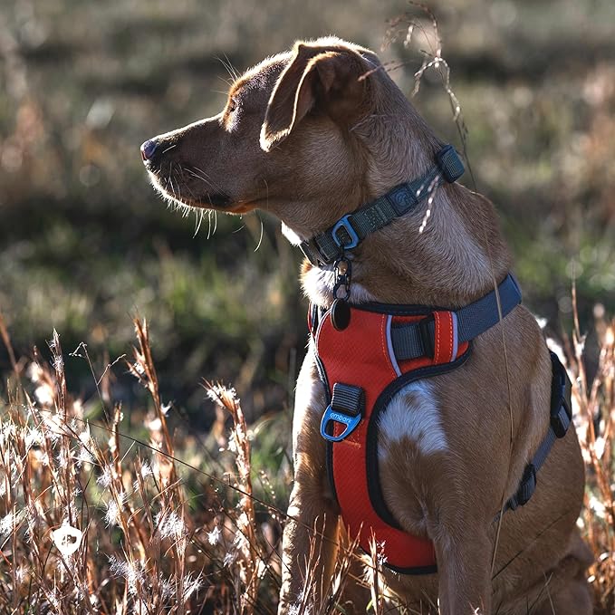 Embark Adventure Dog Harness, Reflective Trim No Pull Dog Harness Medium Sized Dogs - Military Grade Nylon, Front Clip with Gel Lined Handle.