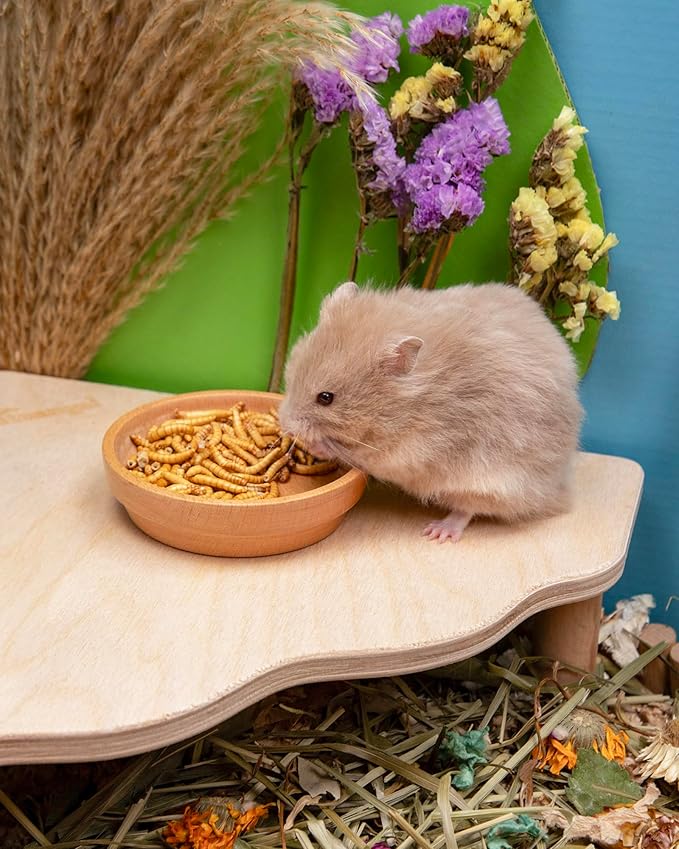 Niteangel Small Animal Snack & Treats Toy - Small Critter Natural Treat for Dwarf Syrian Robo Hamsters Gerbils Mice Lemmings Sugar Glider Hedgehogs Chickens Birds or Other Small-Sized Pets