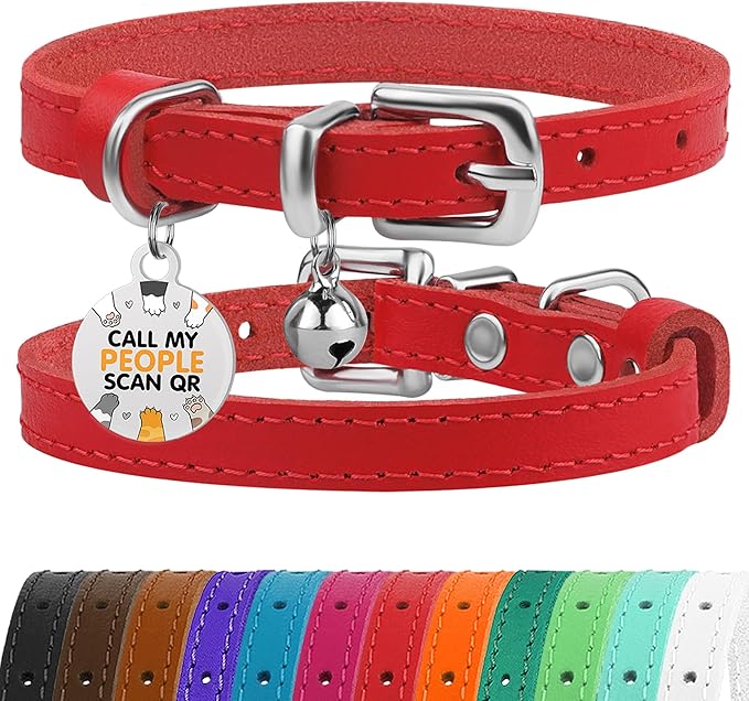 BRONZEDOG Leather Cat Collar with Removable Bells Non Breakaway Kitten QR Tag for Girl Boy (9" - 12" Cats/Mini Dogs, Red & Silver)