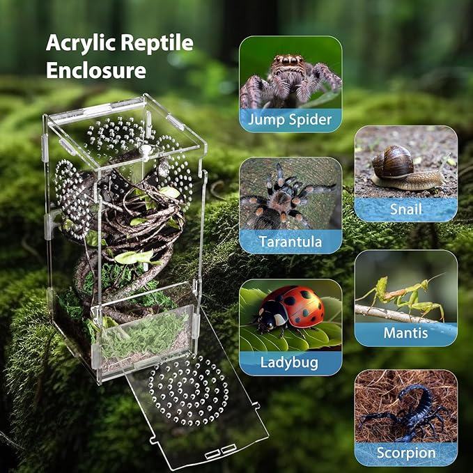 Jumping Spider Enclosure, Acrylic Praying Mantis Habitat, 8"*4"*4" Insect Terrarium, Small Reptile Cage Accessories with Secure Lock for Arboreal Tarantula, Snails, Bug, Lizard