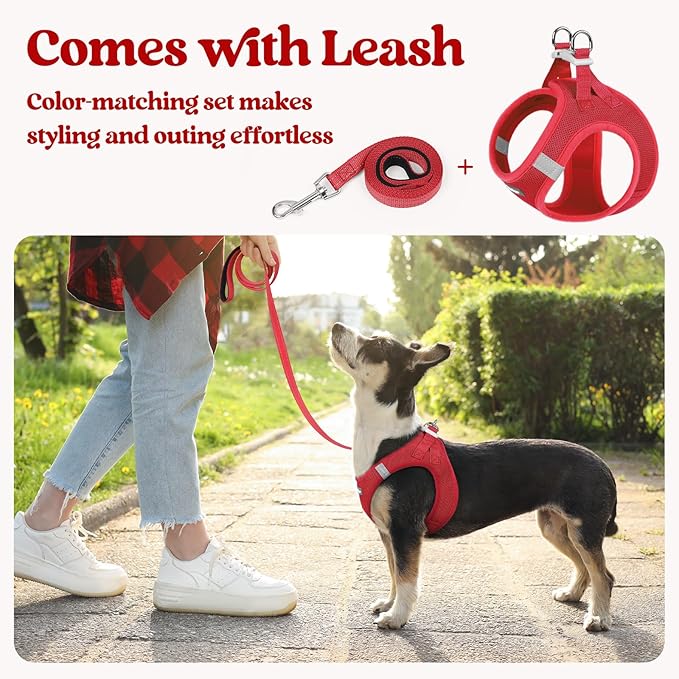 rabbitgoo Dog Harness Small Sized and Leash Set, Step in Soft Light Puppy Vest, Breathable Mesh Pet Harness, Reflective for Safe Easy Walking, Red XXS