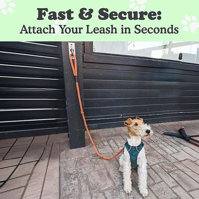 Canine Hitch- Secure Dog Leash Parking Mounted Indoor – Outdoor Wall Hook - Tie Out Stainless Steel Practical Lead Management for Home & Business, Standard Size 6 Pack
