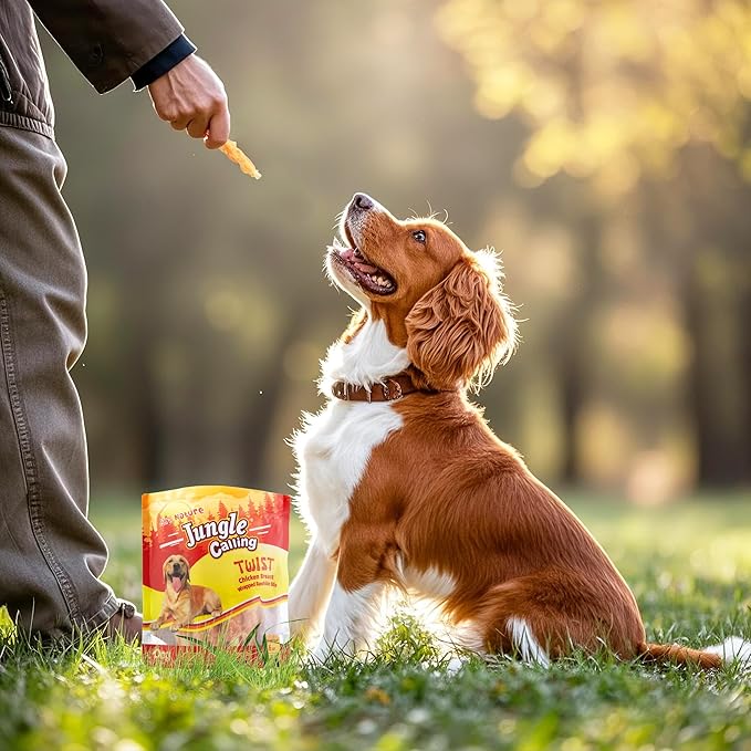 Jungle Calling Dog Treats, Chicken Wrapped Rawhide Sticks for Dogs, Delicious and Nutritious Training Reward Treats and Dog Chews Snacks, 6 oz