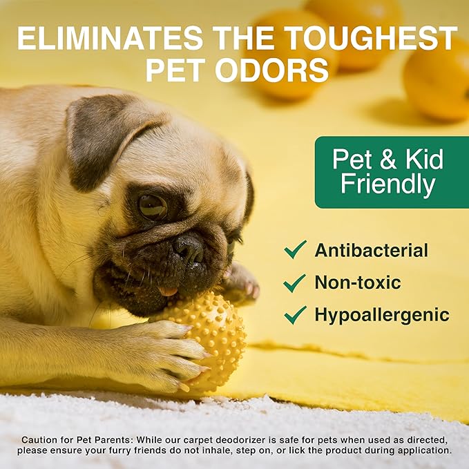 Good Natured Brand | Laundry Bundle | Carpet Freshener Lemon & Eucalyptus 31oz | Pet-Friendly Carpet Deodorizer | Laundry Powder Unscented 47oz | Hypoallergenic Laundry Powder 94 Loads