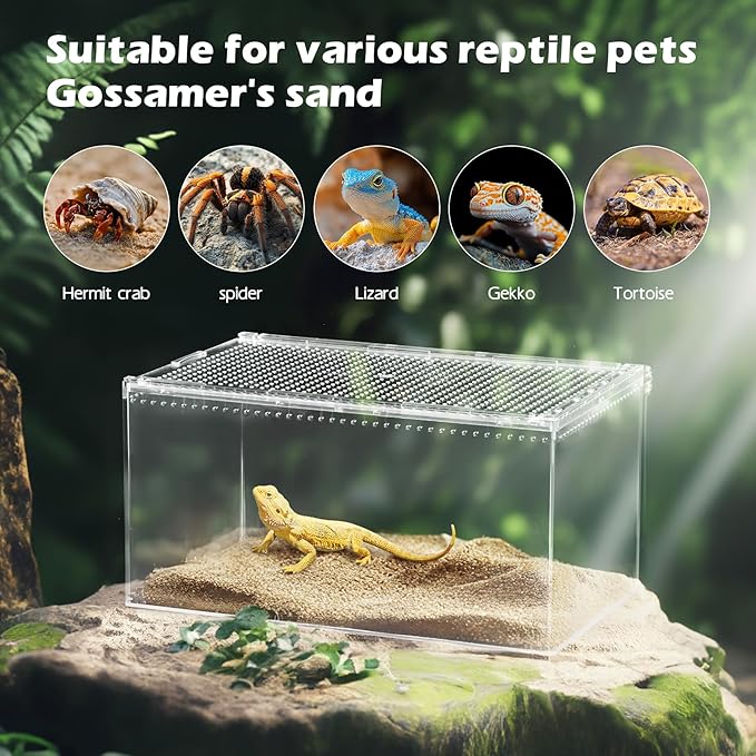 AZV Reptile Terrarium Tank,Versatile Enclosure for Leopard Crested Gecko,Lizard Cage,Spider Starter Kit,Hermit Crab Habitat,Tarantula Cribs,Perfect Aquarium for Snake,Frogs,Snails,Insects,Small Pets