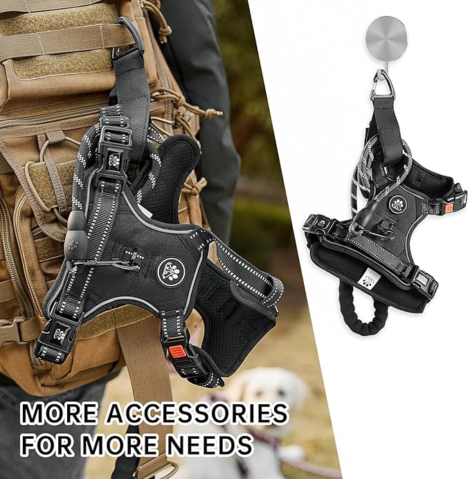 NESTROAD No Pull Dog Harness,Adjustable Oxford Dog Vest Harness with Leash,Reflective No-Choke Pet Harness with Easy Control Soft Handle for Small Dogs(Small,Black)