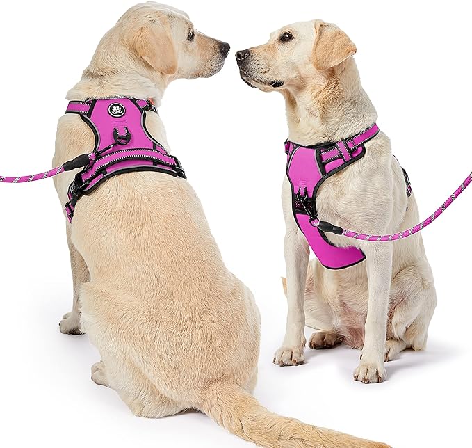 NESTROAD No Pull Dog Harness,Adjustable Oxford Dog Vest Harness with Leash,Reflective No-Choke Pet Harness with Easy Control Soft Handle for Small Dogs(Small,Fuchsia Pink)