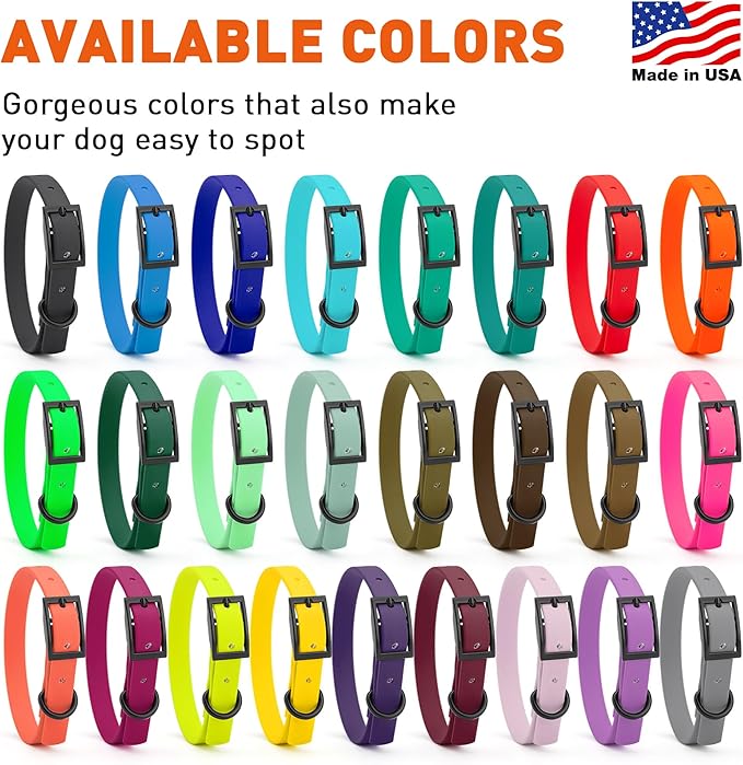 Dogline Biothane Waterproof Dog Collar Strong Coated Nylon Webbing with Black Hardware Odor- Proof for Easy Care Easy to Clean High Performance Fits Small Medium or Large Dogs, Sky Blue