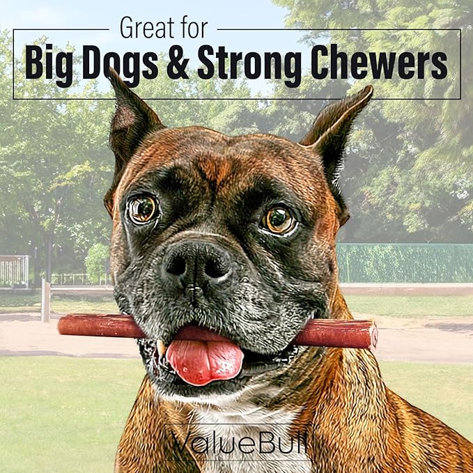 ValueBull Bully Sticks for Dogs, Thick 6 Inch, 400 Count Wholesale Pack - All Natural, Grass Fed, Single Ingredient, Long Lasting Dog Treats