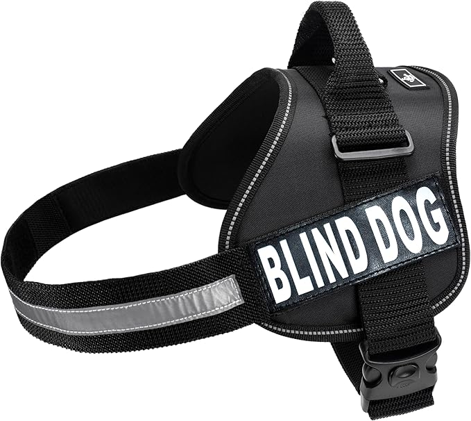 Doggie Stylz Blind Dog Harness No Pull No Escape Dog Vest for Blind Dogs Adjustable Vest with Handle Blind Dog Accessories and Patches for Training and Mobility