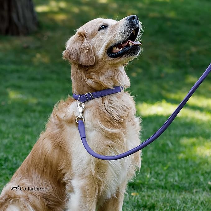 CollarDirect Rolled Leather Dog Collar, Soft Padded Round Puppy Collar, Handmade Genuine Leather Collar Dog Small Large Cat Collars 13 Colors (13-16 Inch, Purple Textured)