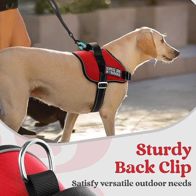 rabbitgoo Dog Harness Medium Sized, Easy On Pet Vest with One Buckle, No Pull Adjustable Service Harness with D-Ring & Handle, Reflective for Safety Walking, Training, Red, M