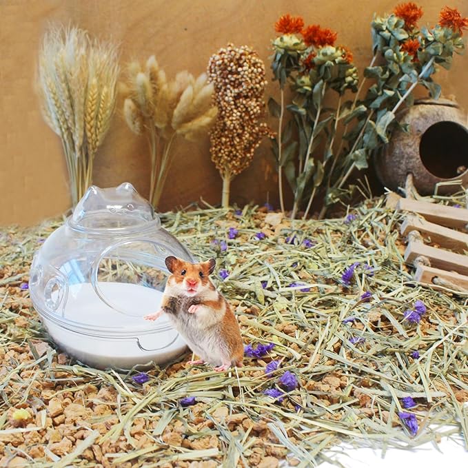 Hamster Bath Sand, 3lb Dust Free Desert Sand or Potty Litter Sand for Hamster Chinchillas Gerbil Syrian Mice Small Animals