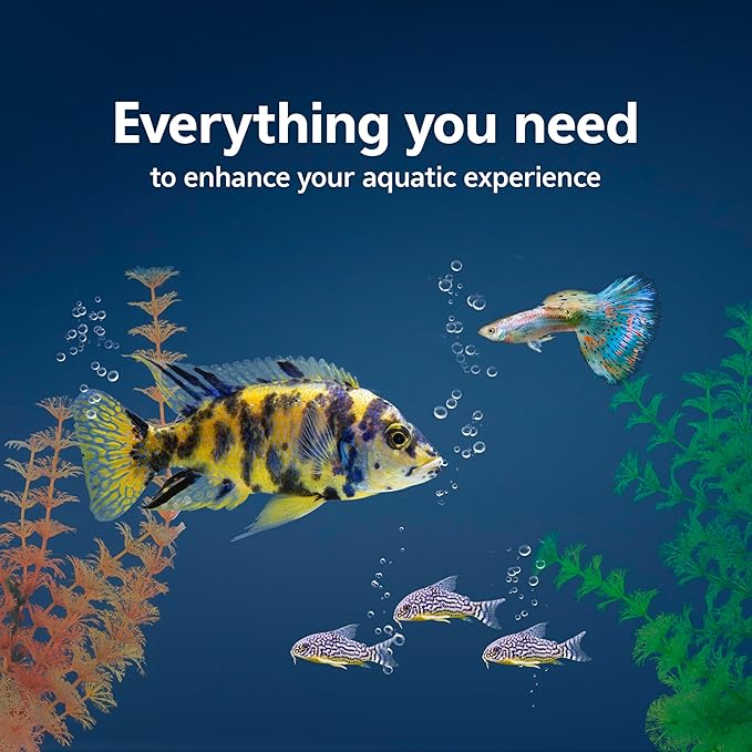 Aqueon 20 Gallon Aquarium Starter Kit with SmartClean Filtration and LED Lighting for Tropical Freshwater Fish