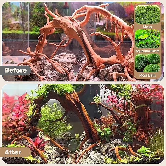 WDEFUN Natural Spiderwood for Aquarium Decor 3-Piece 7''-11'' Long Natural Driftwood Branches for Fish Tank Decorations