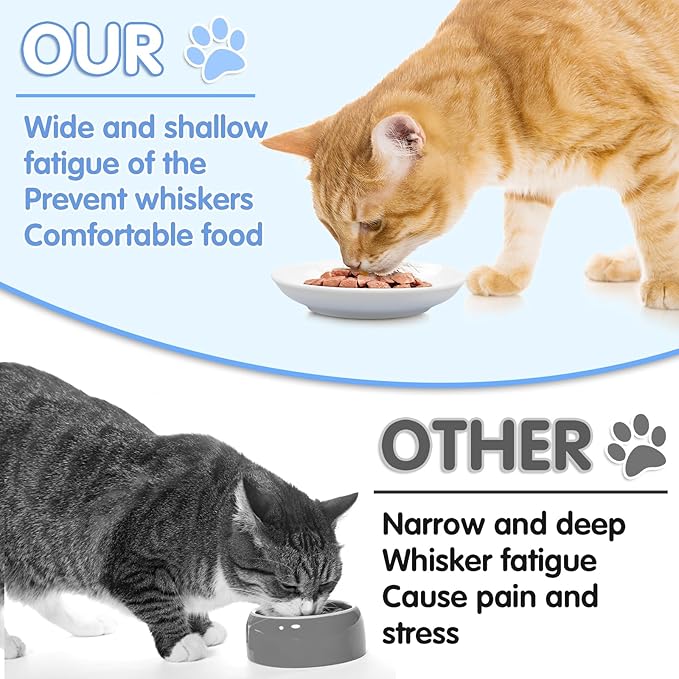 6 Pack Cat Food Bowl, Ceramic Cat Bowls, Anti Whisker Fatigue Cats Bowl,5.5 Inches Shallow Wide Kitten Plates for Food and Water (White)
