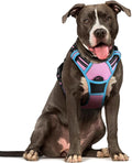 rabbitgoo Dog Harness No Pull with 2 Leash Clips, Adjustable Soft Padded, Reflective Oxford No Choke Pet Vest with Easy Control Handle for Large Dogs, Pink & Blue, L