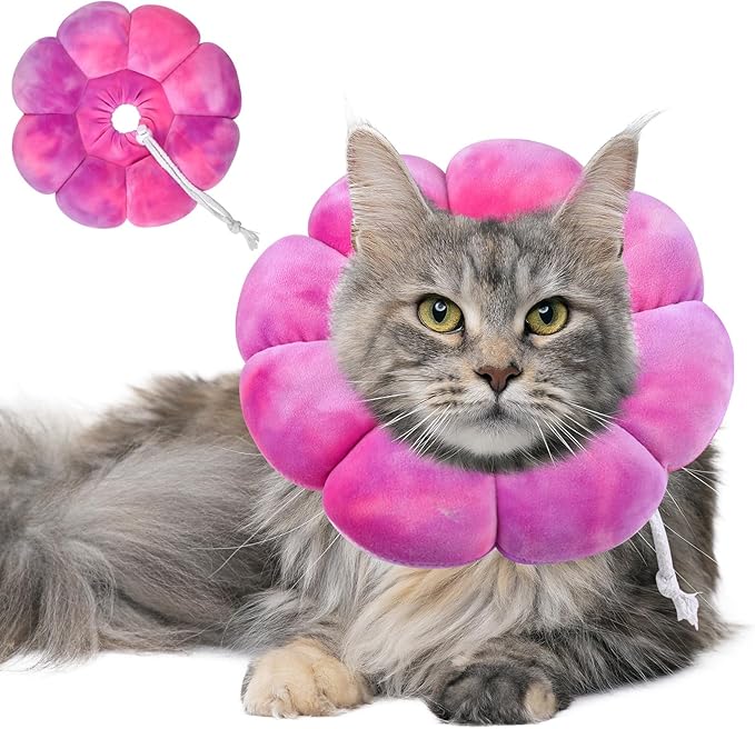 Dog Cat Surgical Recovery Cone, Pet Protective Collar, Soft Neck Cone to Stop Licking Wound for Cats & Kittens, Small Dogs After Surgery