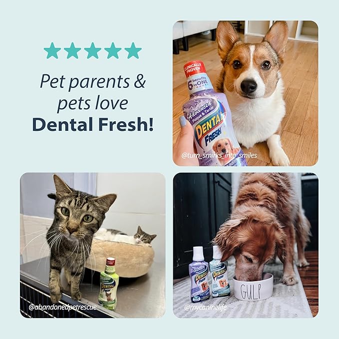 Dental Fresh Water Additive for Dogs, Original Formula, 64oz – Dog Breath Freshener and Dog Teeth Cleaning for Dog Dental Care– Add to Water