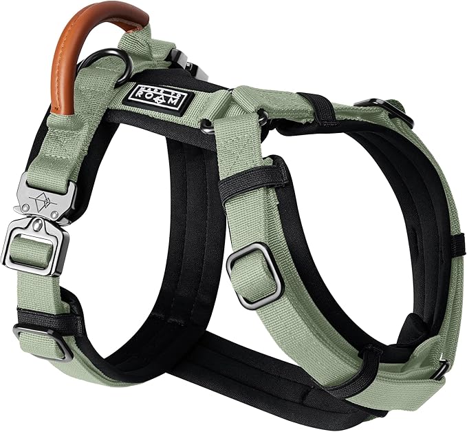 MADE TO ROAM Premium Explorer Harness - Y-Shaped Dog Harness with Adjustable Durable Nylon, Soft Padding, Metal Buckles and Leather Handle for Small, Medium, Large Dogs (Washington Rain, Size 1)