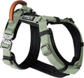 MADE TO ROAM Premium Explorer Harness - Y-Shaped Dog Harness with Adjustable Durable Nylon, Soft Padding, Metal Buckles and Leather Handle for Small, Medium, Large Dogs (Washington Rain, Size 7)