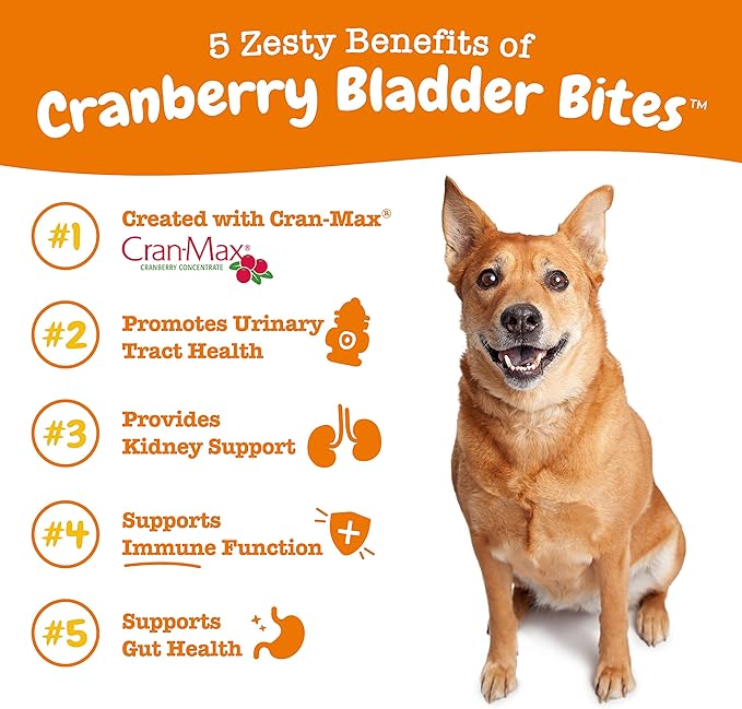 Zesty Paws Cranberry Supplement for Dogs - Bladder Control for Dogs - Urinary Tract Support - Cranberry Chews with D-Mannose, Vitamin B6 & L-Arginine - Immune & Gut Support - Bacon - 90 Count