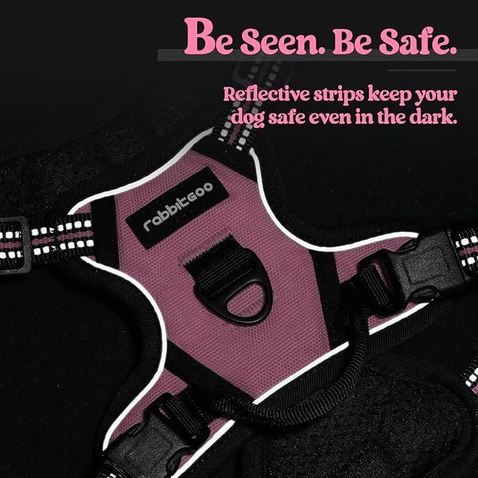rabbitgoo Dog Harness No Pull with 2 Leash Clips, Adjustable Soft Padded, Reflective Oxford No Choke Pet Vest with Easy Control Handle for Puppy, Pink, XS