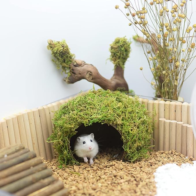 Hamster Hideout - Large, Natural Moss, Handcrafted for Syrian Hamsters, Rats & Guinea Pigs, Safe & Eco-Friendly