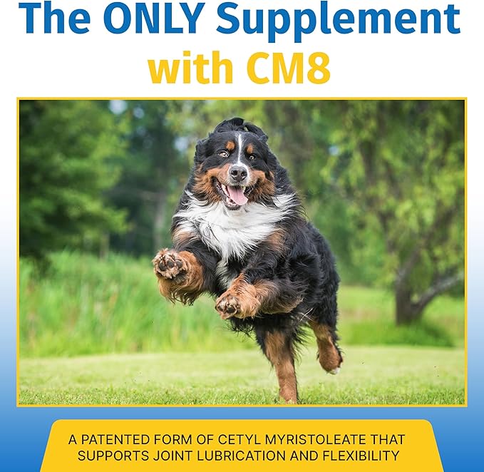 Hip & Joint Supplement for Dogs & Cats with Cetyl Myristoleate, Glucosamine, Collagen, MSM - Advanced Joint Support for Mobility, Senior Pets, Small & Large Breeds - 60 Chews (Pork Liver)