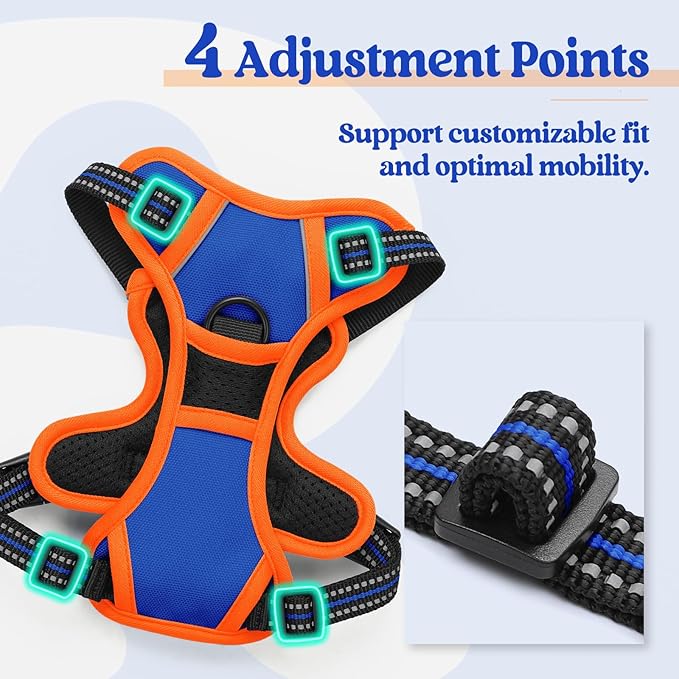 rabbitgoo Dog Harness No Pull with 2 Leash Clips, Adjustable Soft Padded, Reflective Oxford No Choke Pet Vest with Easy Control Handle for Puppy, Blue & Orange, XS