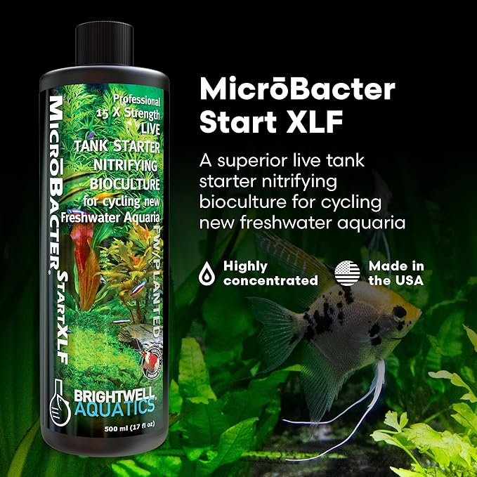 Brightwell Aquatics MicroBacter Start XLF - Concentrated Freshwater Nitrifying Bacteria - Quick Start Fish Tank Starter, Lift Microbe Levels & Water Filtering - Aquarium Water Treatments, 16.9 fl oz