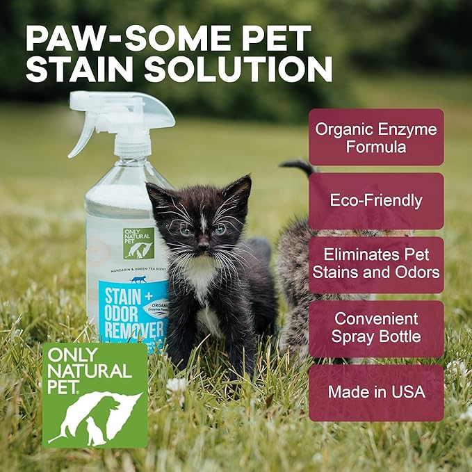 Only Natural Pet Enzyme Powered Stain & Odor Eliminator - Professional Pet Urine Pee Cleaner Deodorizer for Cats - Hardwood Floors Carpets Upholstery - Fresh Mandarin Orange & Green Tea Scent 32Floz
