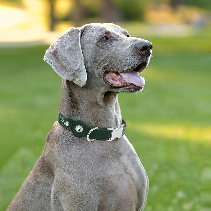 AirTag Dog Collar for Small Medium Large Breed - Adjustable Cute Pattern Dog Collar with Airtag Holder - Soft Leather Tracker GPS Apple Air Tag Pet Collars (Large, 17"-21" Neck Fit, Mushroom)