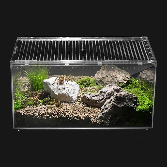 Reptile PC Terrarium,Spider Tank Starter Kit, Leopard Gecko Container,Tarantula Cage, Hermit Crab Habitat,Lizard Enclosure,Insect Housing,Jumping Spider Enclosure,Small Bearded Dragon Vivarium