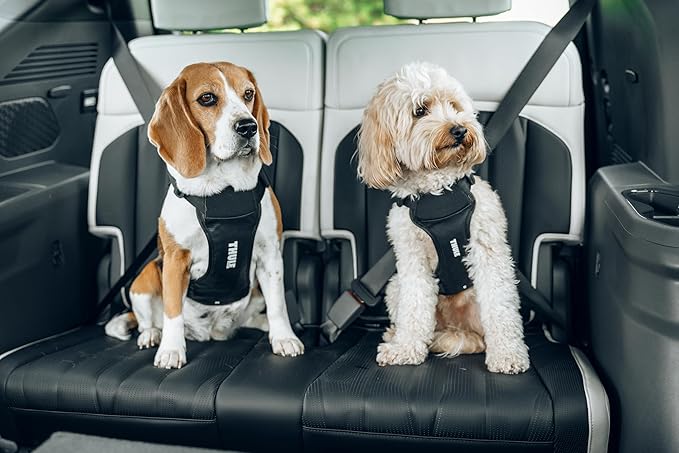 Thule Cappy Dog Harness S - Crash-Tested for Safety - Seatbelt passthrough - Adjustable & Easy to Clean - Padded Breathable mesh Panels - Leash Loop - Step-in Design