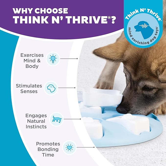Outward Hound by Nina Ottosson Puppy Smart Treat Puzzle Enrichment Toy, Level 1 Beginner, Blue