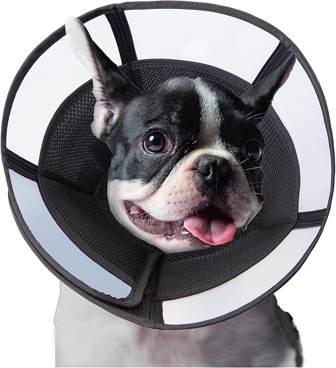 Soft Dog Cone Collar, Comfortable Pet Recovery Neck Collars After Surgery for Large Medium Dogs, Plastic Breathable Elizabethan Dog Head Circle Stop Licking, Adjustable Cones 20cm /8" Long (M Black)