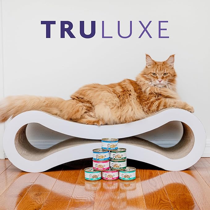 Weruva TruLuxe Cat Food, Steak Frites Dinner with Beef & Pumpkin in Gravy, 3oz Can (Pack of 24)