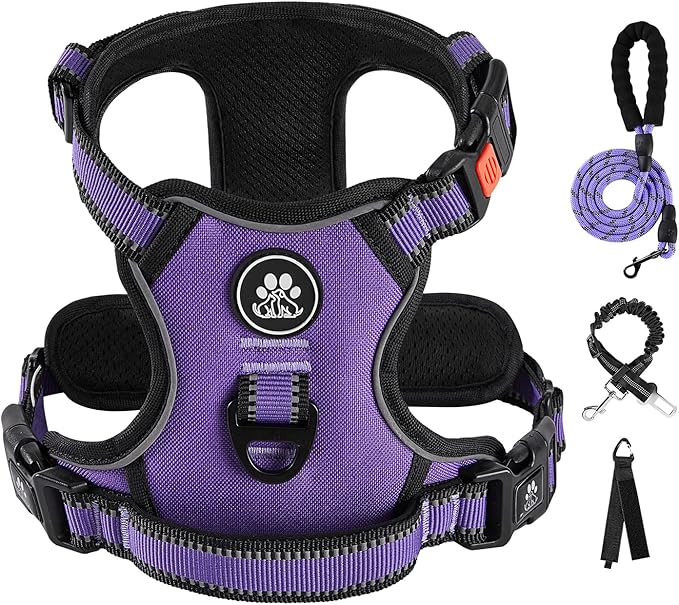 IVY&LANE No Pull Dog Harness for Small Dogs, Dog Vest Harness with Leash, Safety Belt and Storage Strap, Fully Adjustable Harness, 360° Reflective Strip, Soft Handle (Purple, S)