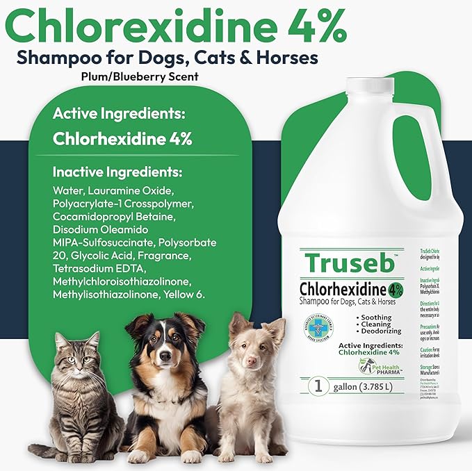 Topical Chlorhexidine 4% Shampoo for Dogs, Cats & Horses (Gallon)- with Aloe for Cleansing (USA) (Chlorhexidine 4% Shampoo, 1 Gallon)