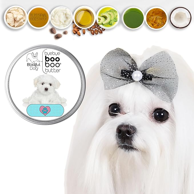 The Blissful Dog Maltese Boo Boo Butter, 16 oz.