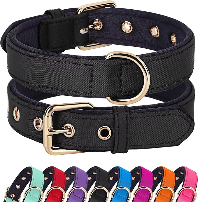 Didog Soft Padded Dog Collars for Medium Dogs, Lightweight and Breathable Dog Collar with Metal Buckle, Black, L