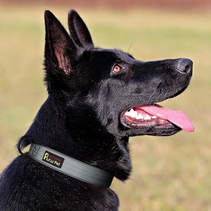 Plutus Pet Tactical Dog Collar, Reflective, Adjustable Heavy Duty Dog Collar, Soft Padded and Comfortable, for Small Medium and Large Dogs (Gray, XL)
