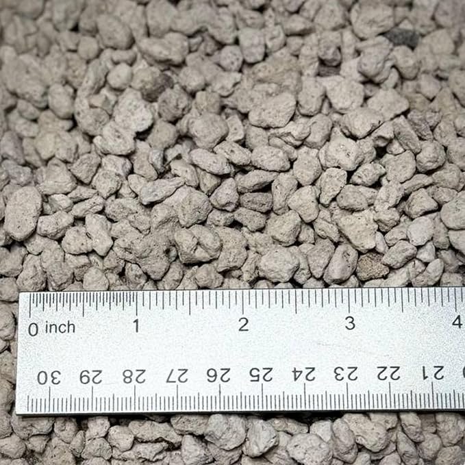 Horticultural Pumice for Plants, Natural Pumice Stone Soil Amendment, 3/8-1/4 inch, Made in USA (3 quarts - 2.7 lbs)
