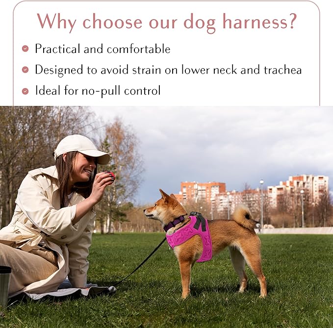 Comfort Fit Dog Harness Soft Padded No Pull Harness with Adjustable Buckles for Small Medium Large Dogs Step in Pet Vest with Easy Control Handle for Walking Jogging Running Training Dogs & Puppies
